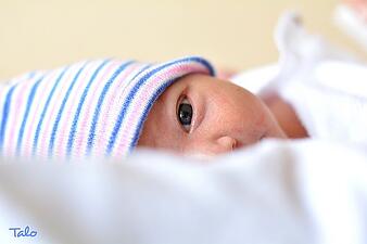Newborn_Baby.jpg